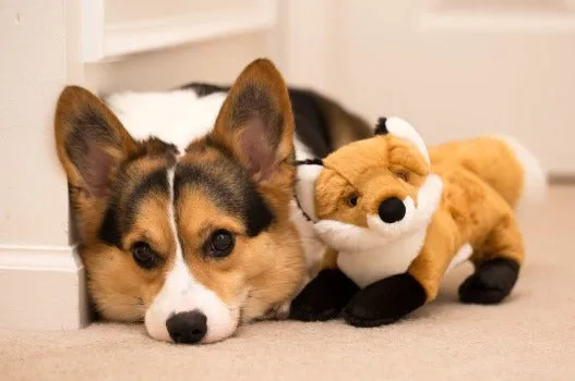 Hendrix Fox Toy